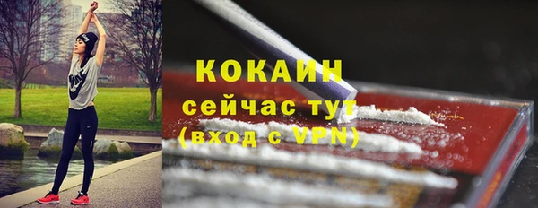 сатива Заволжск