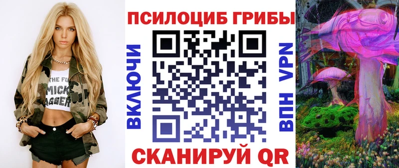 блэк спрут маркетплейс  Искитим  Псилоцибиновые грибы Psilocybe 